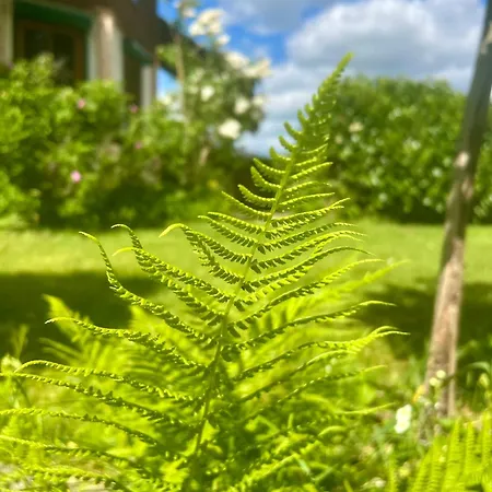 Apartment Biohauszeit Im Tiroler-holzhaus Bad Elster