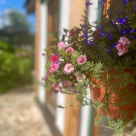 La Dolce Im Tiroler-holzhaus Apartment
